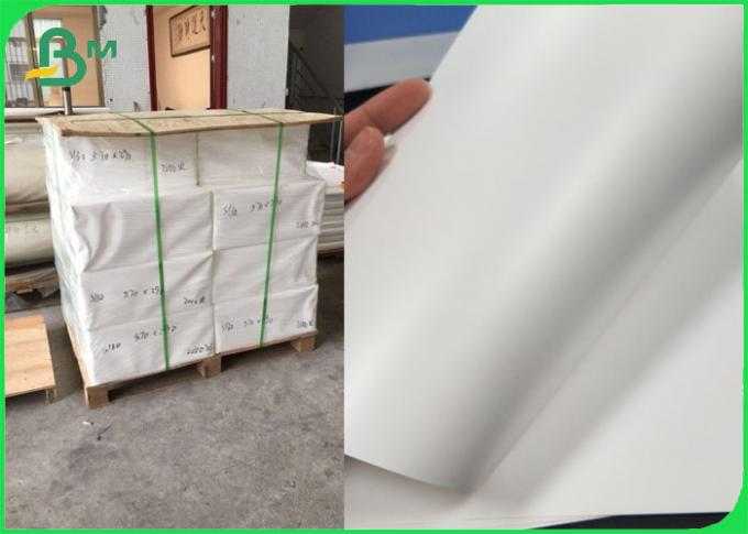Rasgo - material de papel sintético dos PP da resistência para a lisura do cartão