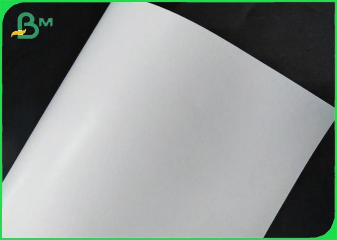 Cupstock inteiramente renovável Rolls de papel revestiu o polietileno 18g + 10gsm
