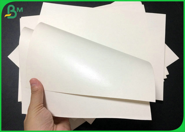 Papel impermeável do copo do cartão de 190g 210g Foodgrade para a matéria prima do copo de papel
