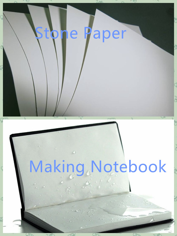 Plástico de pedra resistente material impermeável dos cadernos & do rasgo do papel da liga