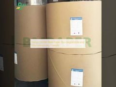 Papel Bíblia Branco Natureza Biodegradável e Ecológico