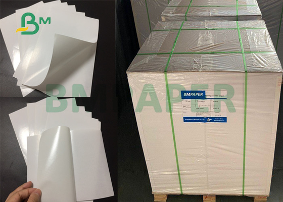 o molde 78gsm de 1072mm revestiu o papel esparadrapo do forro do papel glassine de +60gsm para a impressão da etiqueta