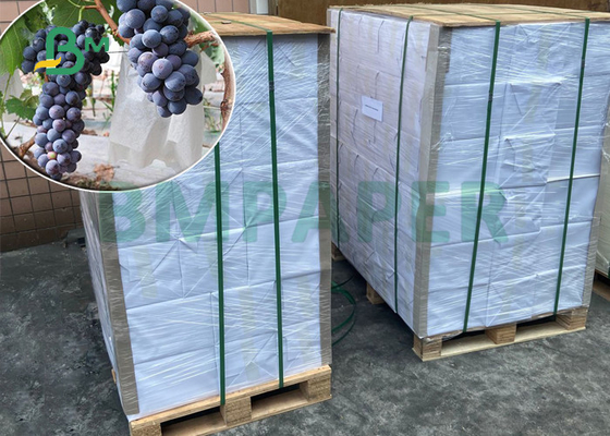 papel impermeável da pedra de 120gsm 144gsm para o saco 300 x 350mm da proteção da uva