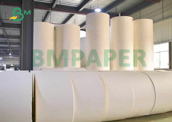 150 dos PP mícrons de cartaz sintético do ANIMAL DE ESTIMAÇÃO rasgo de papel material de 285 x de 430mm resistente