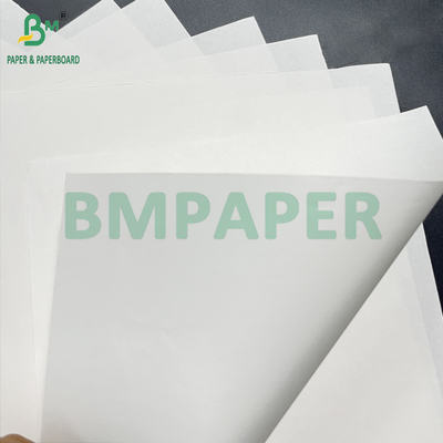 Grade de alimentos lisos 70 - 150 GSM Rolo de papel kraft branco branqueado de 15 polegadas x 1000 pés