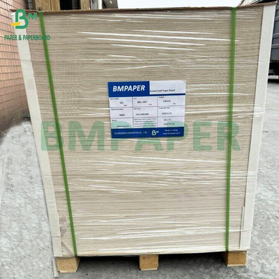 350gm CKB Superfície Branca Cartão de Retorno Kraft Marrom Para Caixas de Salada 25' x 38'