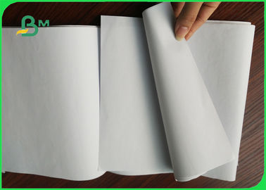 Papel sem revestimento branco de Woodfree, papel Rolls do caderno de 80gsm Offest