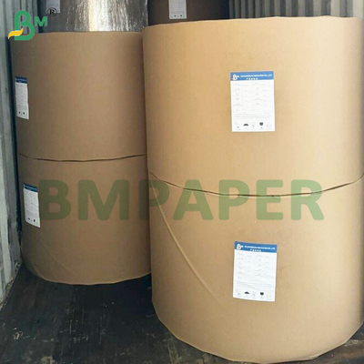 135-350 GSM Papel impermeável revestido em PE de tamanho duplo para taças e taças