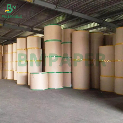 Grau alimentar Kraft 320gm + 20g PE Papel revestido para xícara de café