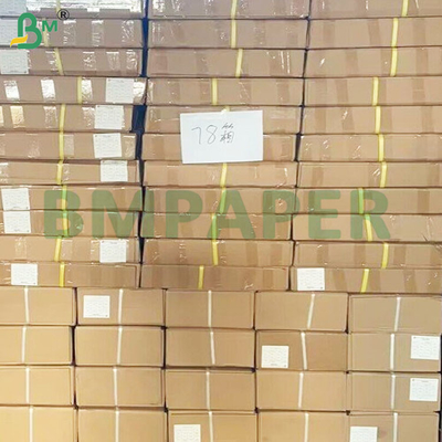 Superfície lisa Rolos de papel CAD 80gm para impressão precisa