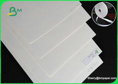 folha de papel absorvente natural da fibra do produto comestível do rolo/altamente da absorção do papel do cartão de 230gsm 280gsm