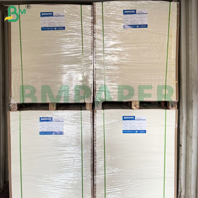 Folhas de papel revestidas de PE de um lado para copos de papel descartáveis