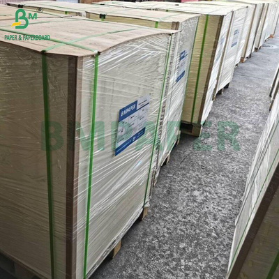 16PT 18PT 20PT Cartão de bolhas brancas termoformado para embalagens de conchas
