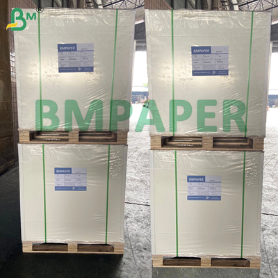 Papel de filtro de café crêpe Papel natural e branqueado 50gm Sem expansão