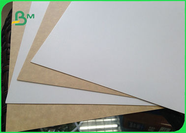 450gsm FSC certificou o rolo revestido argila do papel do produto comestível da parte traseira de Kraft/papel branco do forro para embalar