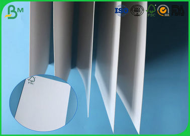 Placa lustrosa do FSC Certificted 200g 250g 300g 350g 400g 450g FBB para caixas de embalagem