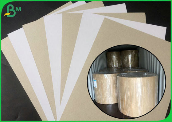 Lado branco certificado FSC da placa frente e verso revestida com parte traseira do cinza na embalagem do grande rolo