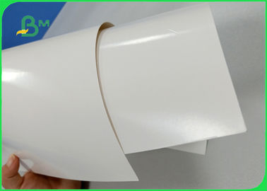 Largura 708mm 300gsm + 15g papel revestido poli de placa de marfim do PE CIS para a lancheira