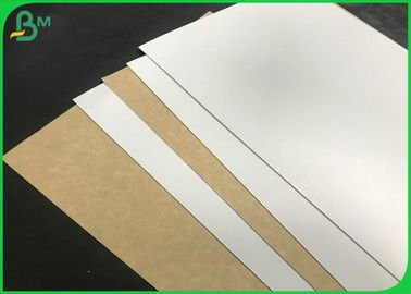 A aleta tomou partido a parte traseira branca da cor de Brown da superfície do sólido da placa do papel de embalagem Para a caixa do alimento