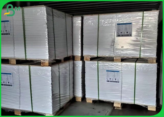 rolo branco do papel de impressão deslocada de 70lb 80lb com certificação do FSC