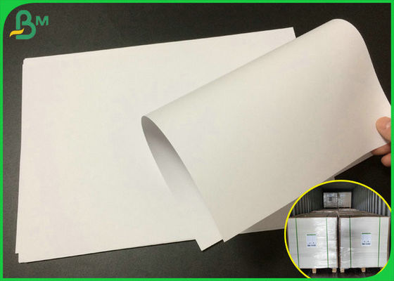 Eco - rolo de papel imprimindo deslocado amigável 140gram para o saco de papel