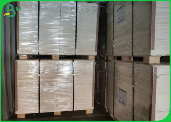 1.3mm 1.4mm Papel Blotter Absorvente Branco de Pulpa Pura para Fabricação de Cerveja 24 x 36 polegadas