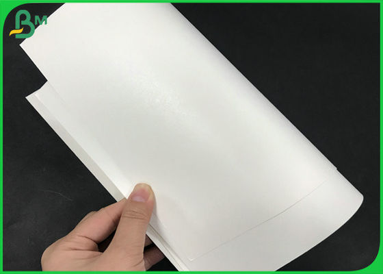 245gsm impermeável forte papel revestido branco do filme de kraft + de PE 15g para o copo de papel do café