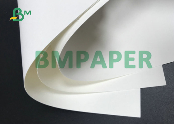 Cerveja branca Mat Board polpa de madeira do Virgin de 0.4MM - de 3MM para almofadas absorventes
