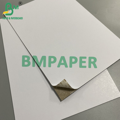 Cartão de papel maciço de tamanho personalizado com núcleo cinzento 28 x 39 "