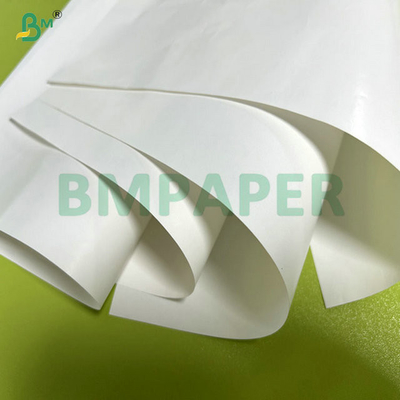 Papel revestido de cromo de uma só face resistente ao congelamento de 67 gramas para rótulos de cerveja 70 x 100 cm
