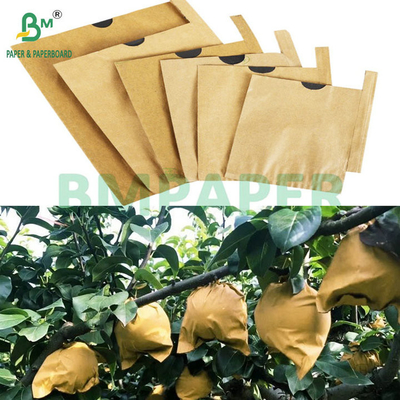 59gm Protetor solar resistente a lágrimas Frutas Manga de papel Marrom de cima Preto de volta