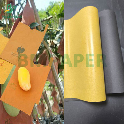 54g 56g Single ou Double Layer Mango Fruit Growing Protection Cover Bag Paper (Papel de Saco de Proteção para o Cultivo de Mango)