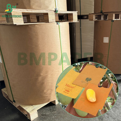 54g 56g Single ou Double Layer Mango Fruit Growing Protection Cover Bag Paper (Papel de Saco de Proteção para o Cultivo de Mango)
