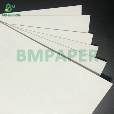 Cartão de absorção de água de alta polpa 1 mm 1,4 mm Papel de esterco de cerveja branco para esterco