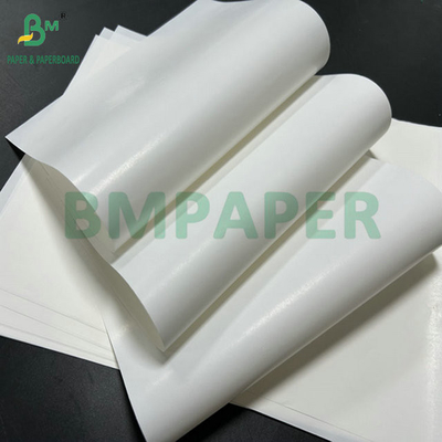 Papel de etiqueta de garrafa de cerveja de revestimento de 65 gramas para impressão de rolo grande de 61 cm e 86 cm