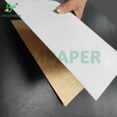 350gm CKB Superfície Branca Cartão de Retorno Kraft Marrom Para Caixas de Salada 25' x 38'