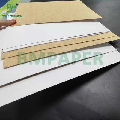 350gm CKB Superfície Branca Cartão de Retorno Kraft Marrom Para Caixas de Salada 25' x 38'