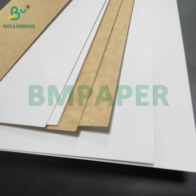 350gm CKB Superfície Branca Cartão de Retorno Kraft Marrom Para Caixas de Salada 25' x 38'