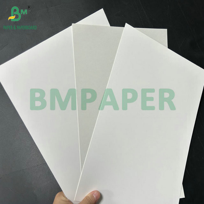 Alto grau de brancura 98% 325 gr 360 gr Papel Fbb de qualidade alimentar para bolos Caixa de embalagem 70 x 100 cm