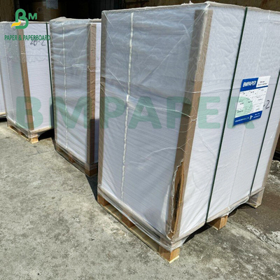 Papel de polpa de madeira branqueada de dois lados de alta absorção