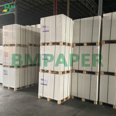50 GSM Resistência ao calor sem odor Folhas de papel de filtro de café