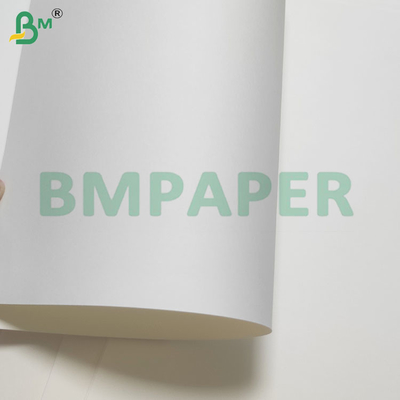 135-350 GSM Papel impermeável revestido em PE de tamanho duplo para taças e taças