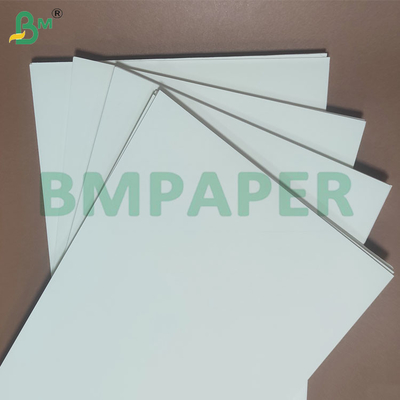 135-350 GSM Papel impermeável revestido em PE de tamanho duplo para taças e taças