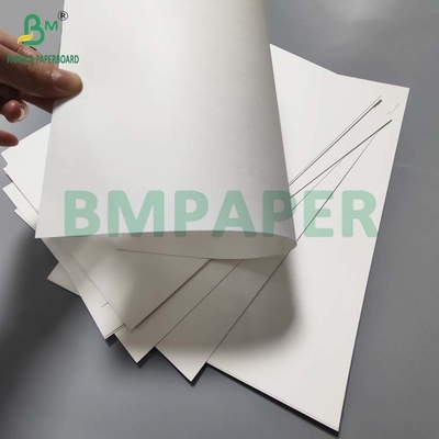 Papel de taça revestido em PE para café quente impermeável a óleo