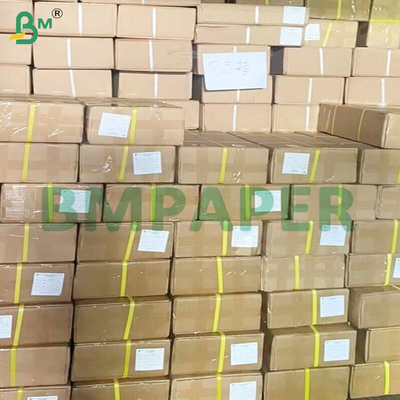 Rolos de papel Plotter de lado duplo azul para Engenharia e Desenho CAD