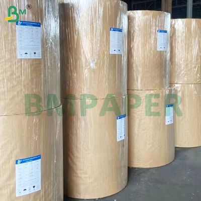 Folhas de papel sintético PET de 180um de lado duplo, brilhante e não rasgador