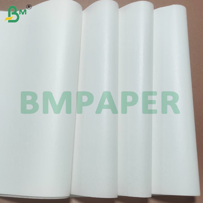 Folhas de papel de bolinhos com revestimento de silicone biodegradáveis e seguros para alimentos