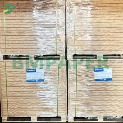 Folhas de papel de bolinhos com revestimento de silicone biodegradáveis e seguros para alimentos