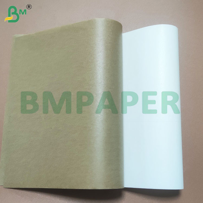 Folhas de papel de bolinhos com revestimento de silicone biodegradáveis e seguros para alimentos