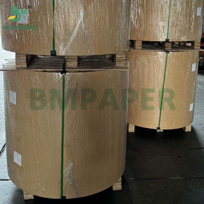 Biodegradável 100 gm - 400 gm Rolo de Papel de Base de Pulpa de Caña de Azúcar Natural